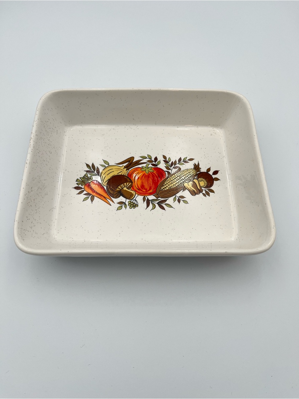 Vintage 70’s Northland Casserole Gratin Dish Pumpkin Mushroom Vegies Retro